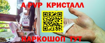 бошки Сланцы