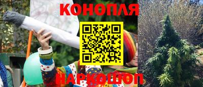 бошки Сланцы
