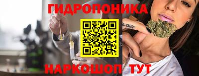бошки Сланцы